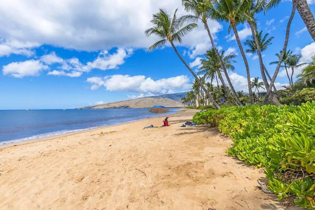 Nani Kai Hale 209- Remodeled Prime Oceanfront 1 Bedroom Kihei Gem 0*,