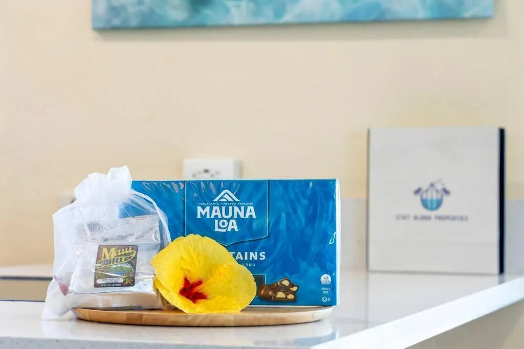 Nani Kai Hale 209- Remodeled Prime Oceanfront 1 Bedroom Kihei Gem 0*,  United States