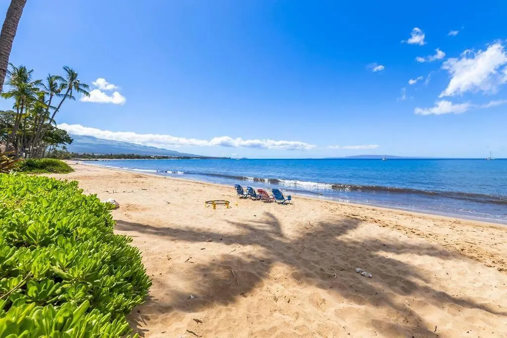 Nani Kai Hale 209- Remodeled Prime Oceanfront 1 Bedroom Kihei Gem