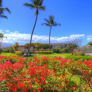 Apartment Maui Vista 2220, Kihei